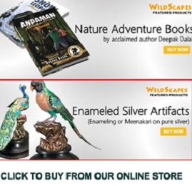 Wildscapes.net - The product store of Indianwildlifeclub.com offering video CDs, books, calendars, and silver bird artifacts.