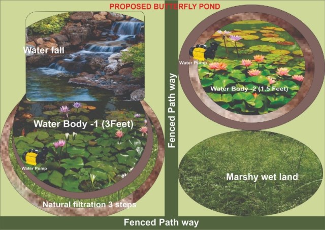 Butterfly Pond Map