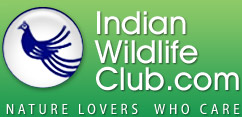 IndianWildlifeClub Logo